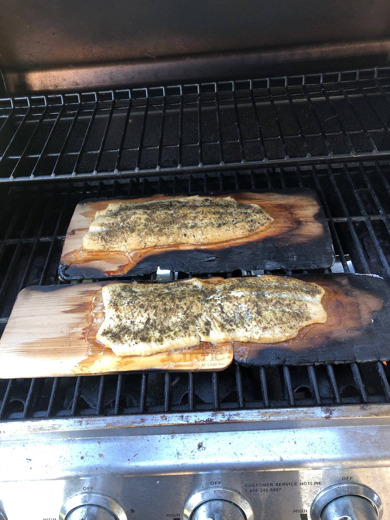 cedar plank trout