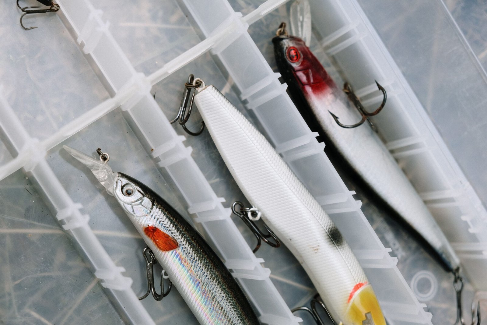 fishing lures