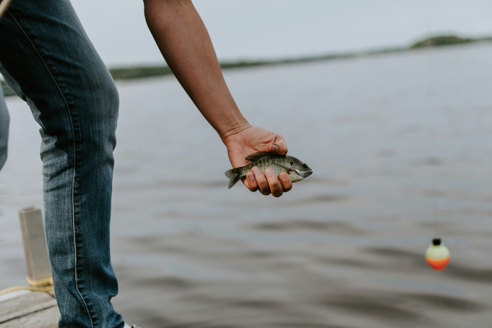 panfish