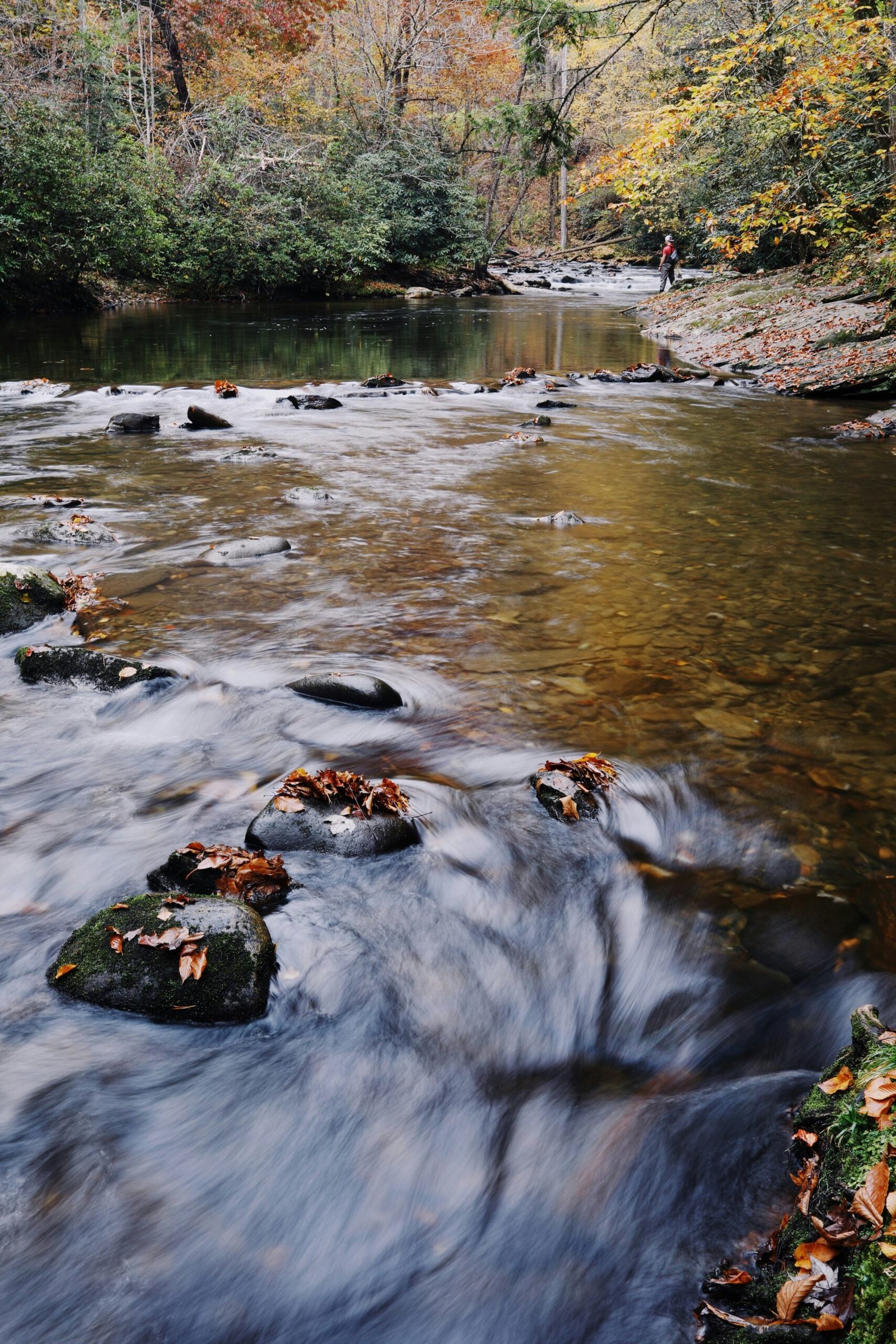 freshwater fishing for beginners