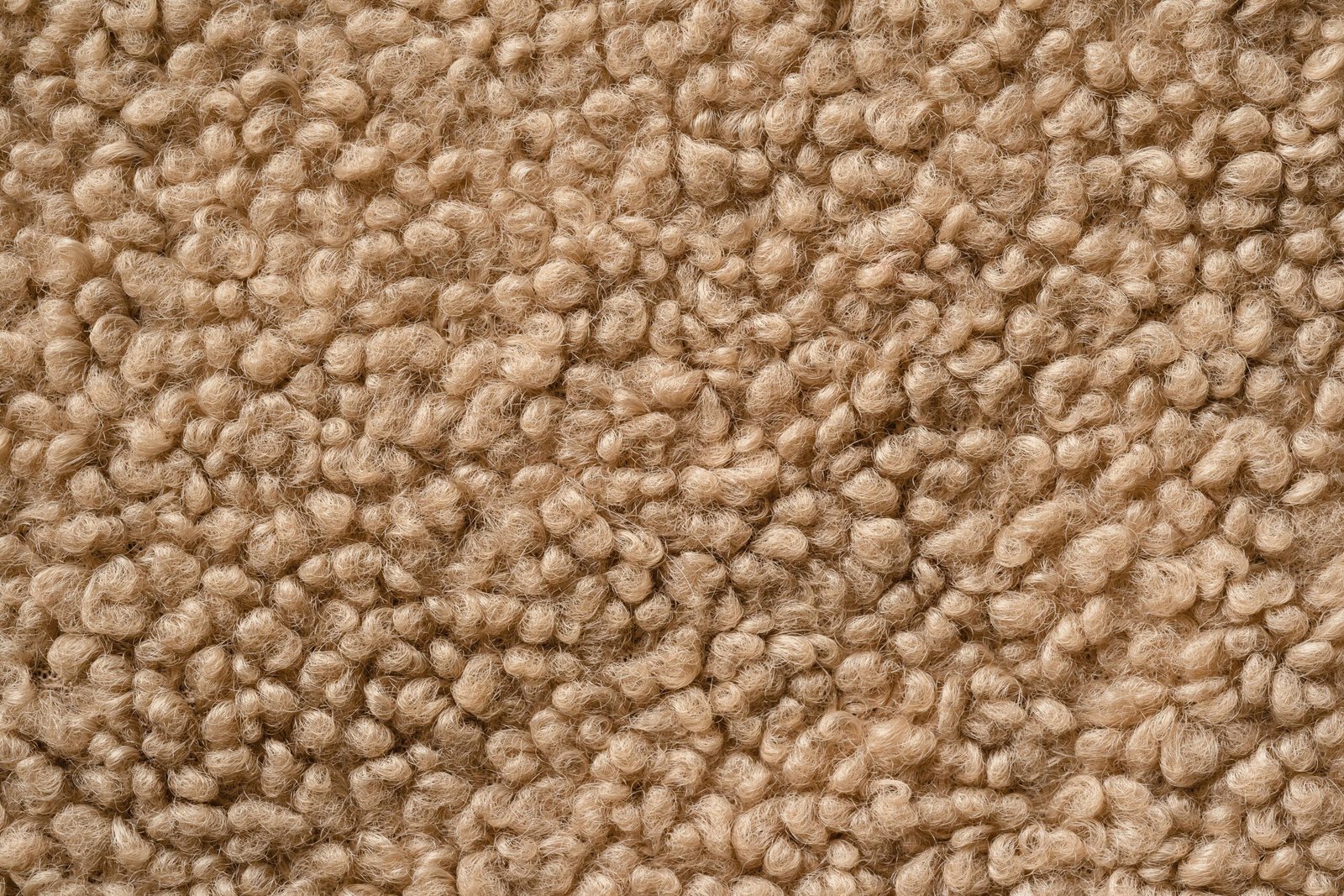 wool rug