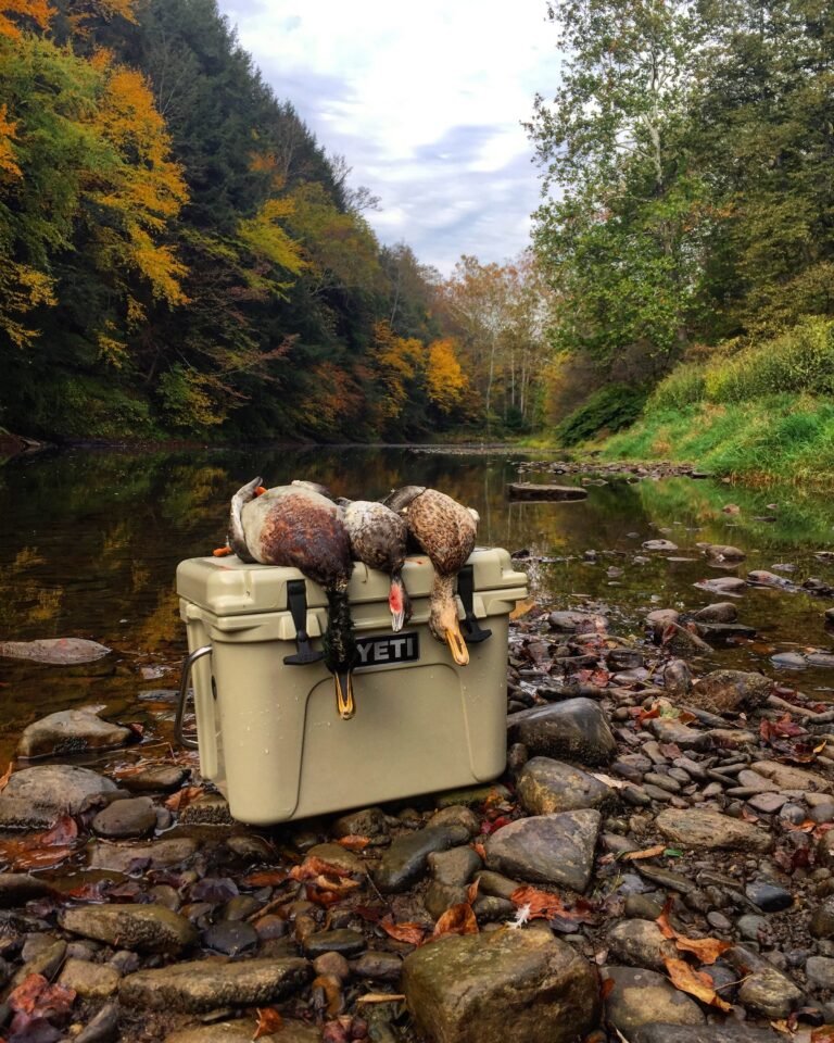 Best Coolers for Hunters — YETI vs Pelican vs RTIC and More