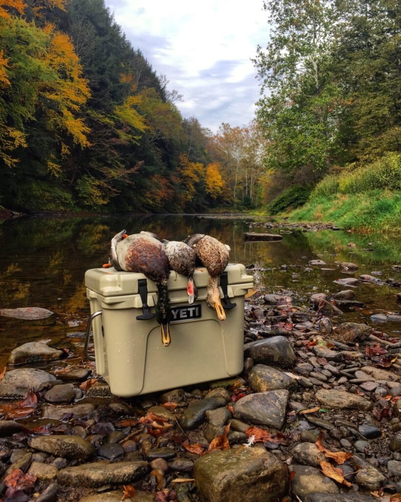 Best Coolers for Hunters — YETI vs Pelican vs RTIC and More